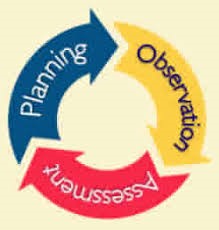 Observe, Assess And Plan For Individual Needs